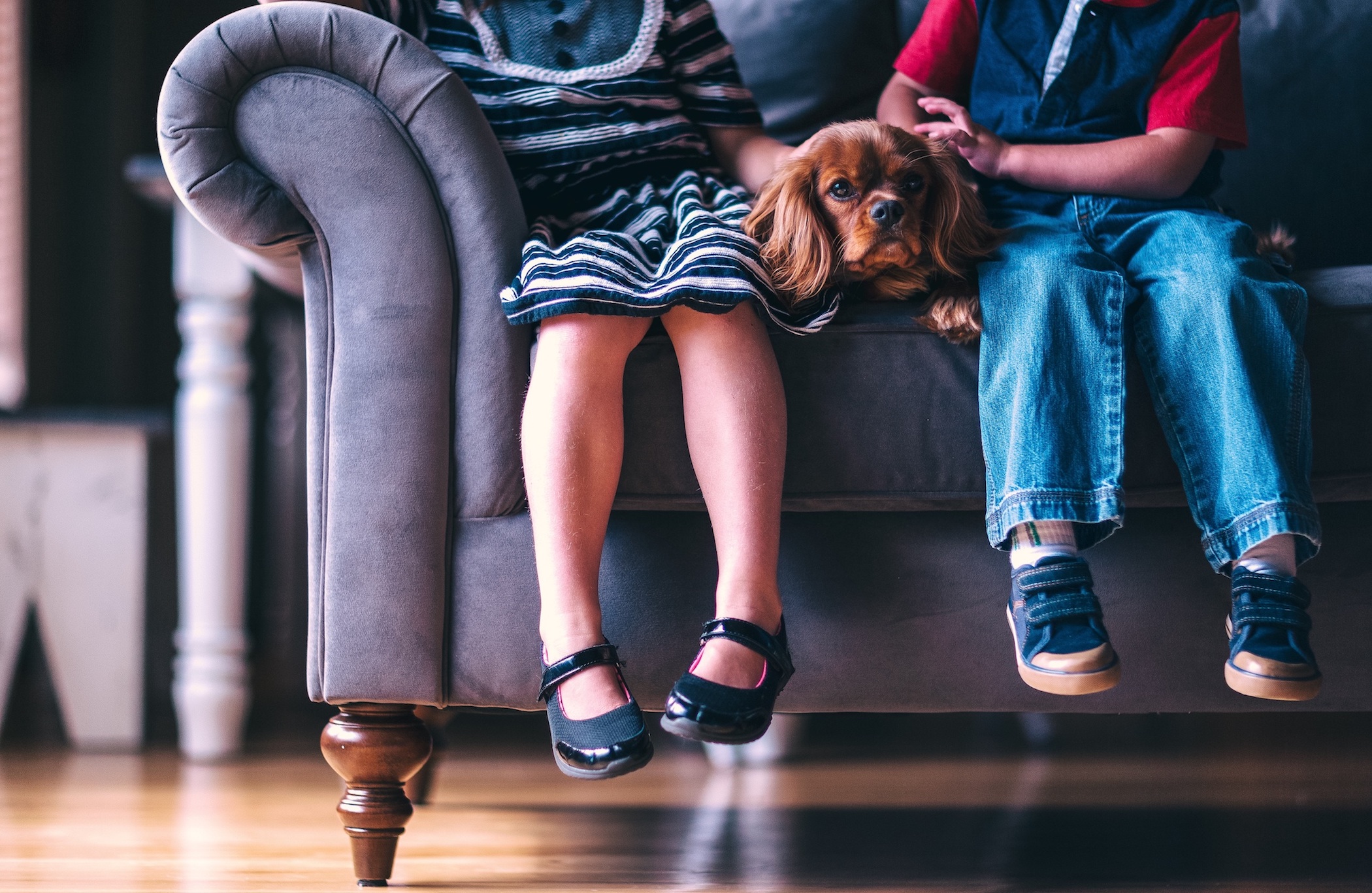 Brown dog sitting in between two children on a couch