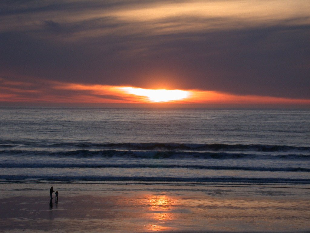 Adult and child taking a walk on a beach at sunset